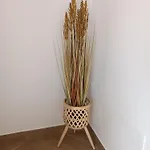 Aura لاغوس